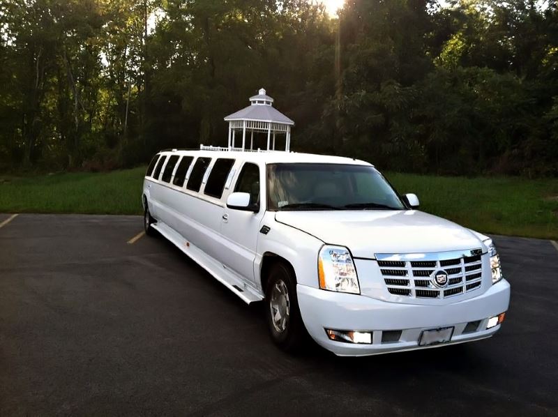 Minneapolis 15 Passenger Limo